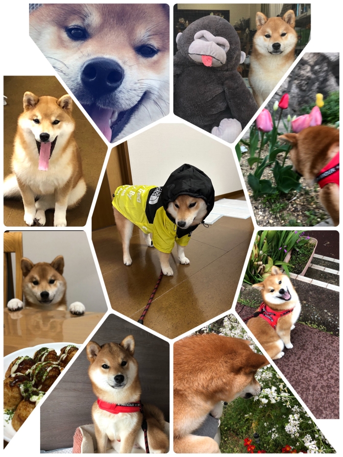祝！6ヶ月になりました