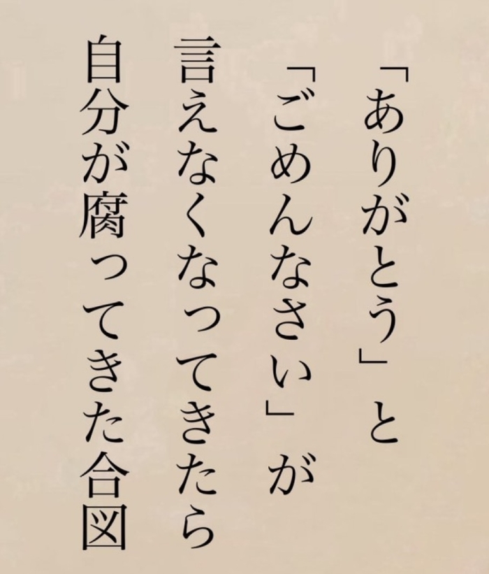 いただき物ですが･･･