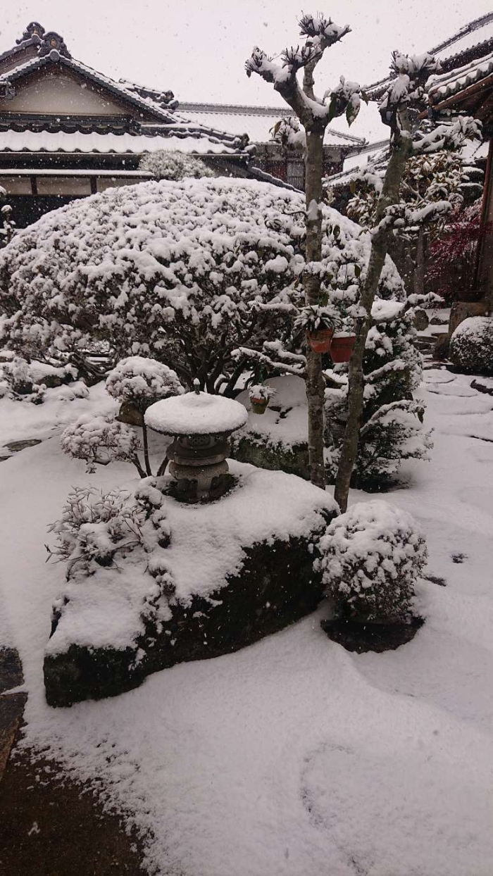 雪だー