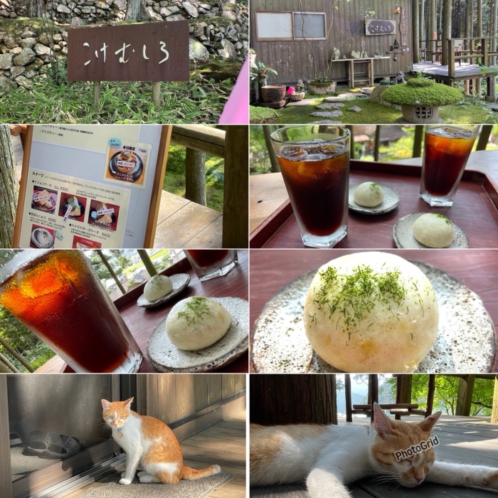 涼を求めて……