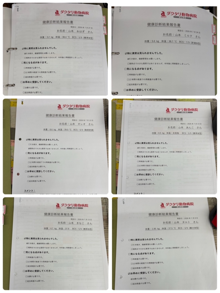 ニャンコ健康診断