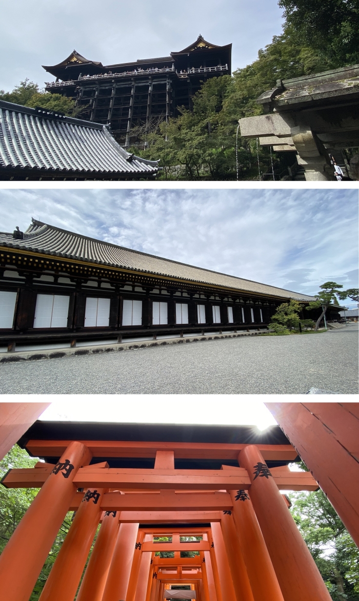 京都～大阪の旅