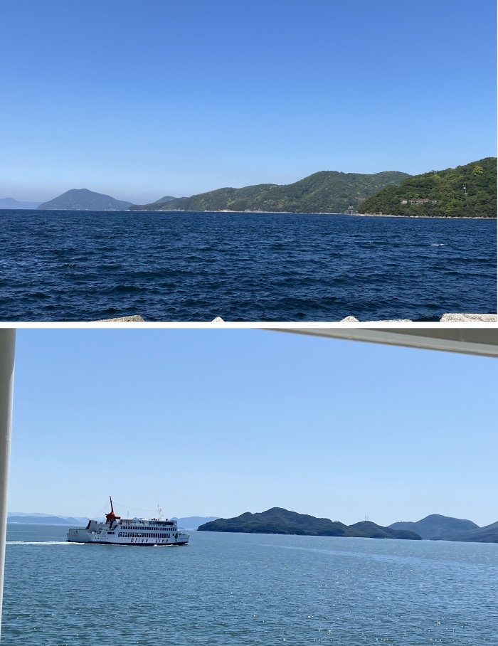 オリーブマラソン