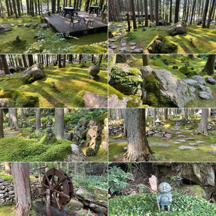 涼を求めて……